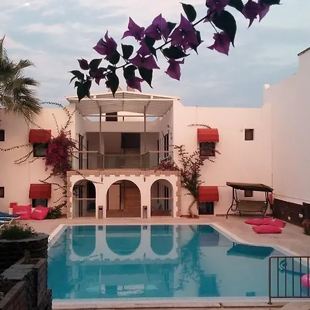 Alvin Hotel